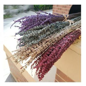 Planta de arreglo de flores naturales, flores secas conservadas, lavanda - Product Image 1