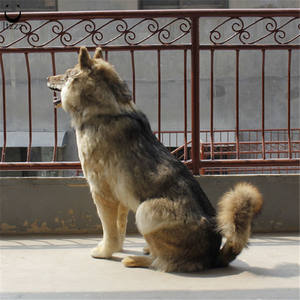 Figura de lobo de plástico suave para decoración del hogar, animal de tamaño real, peludo, hecho a medida, nuevo producto increíble - Product Image 5