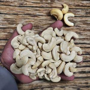 Noix de cajou brutes non torréfiées non salées naturelles sans gluten qualité supérieure grade W320 pour l'exportation collation saine cuisine - Product Image 2