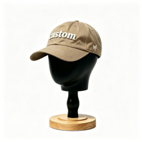 Op maat gemaakte logo 3D geborduurde logo's, hoogwaardige katoenen baseballpetten voor heren, gebogen klep, sportpet, effen, blanco heren baseballcaps