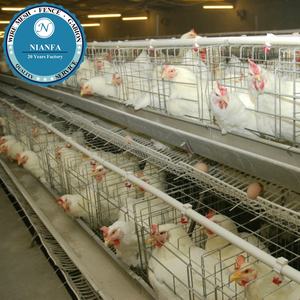 Yüksek kaliteli sıcak daldırma galvanizli kanatlı tavuk kafesi üreticisi/civciv/pullet/tavuk yumurtlama kafesi (Guangzhou fabrika) - Product Image 1