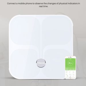 Báscula Inteligente de 180 kg con Bluetooth, Aplicación Feelfit, Proveedor <span class=keywords><strong>Renpho</strong></span>, Báscula de Grasa Corporal - Product Image 6