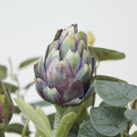Artichaut artificiel à longue tige Cynara Scolymus, arrangement floral, fausse tige de fruit succulente, décoration pour salon et maison