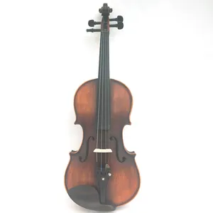 Factory Sale Verschiedene weit verbreitete solide handgemachte deutsche Qualität Student Violin Outifts