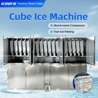 Machine à glace en cubes comestibles automatique personnalisée de 5 tonnes et 10 tonnes, en acier inoxydable, longue durée de vie