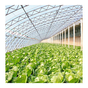 Tunnel de serre à couverture unique en plastique, 10 m/<span class=keywords><strong>2021</strong></span> m, pour éclairage industriel - Product Image 2