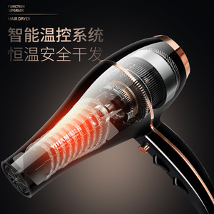 Viham Hair Dryer 220V DC Motor High Speed Black Single Nozzle Home Salon Use - Product Image 3