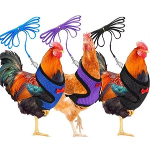 Muestra gratuita: Arnés de entrenamiento transpirable de malla de aire ajustable para gallinas, patos, gansos y gallos pequeños, con correa. - Product Image 3
