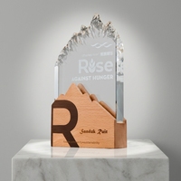 Fabricant innovant de trophées en verre avec une forme inspirée de la nature et une base en bois de haute qualité pour les trophées de compétition en verre