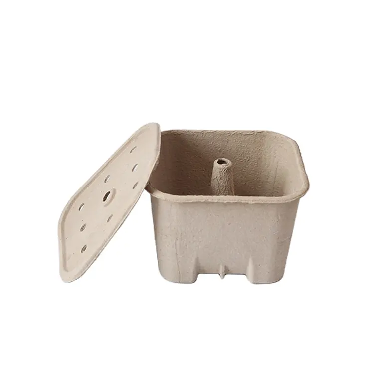 Hot Sale Customizable Moulded Pulp Sugarcane Recycled Paper Pulp charcoal packaging Box With Lid