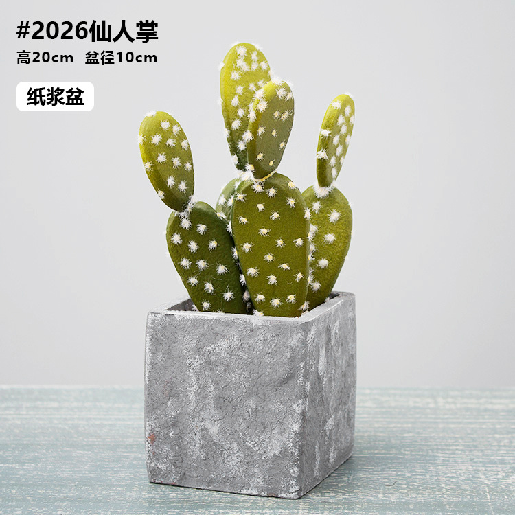 Bassin à pâte PO-2026 - Commande minimum de 4 pièces par type