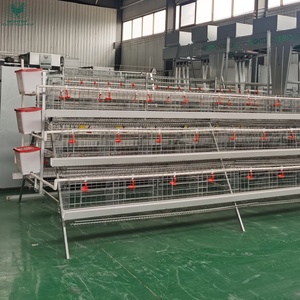 Büyük Metal tavuk evi kafes ucuz tavuk kümesi a tipi kanatlı tavuk kafesi yumurta tabakası kafes tavuk çiftliği sistemi - Product Image 3