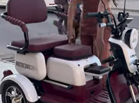 Scooter électrique personnalisé 10 pouces 600w/800w/1000w 60V/72V 3 vitesses, tricycle à pousser/tirer, trois places, 35 km d'autonomie