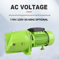 Selbstansaugende Druckerhöhungspumpe JSW-10M 220V 50Hz mit Hoher Förderhöhe und Großem Durchfluss für Haushalt und Landwirtschaft