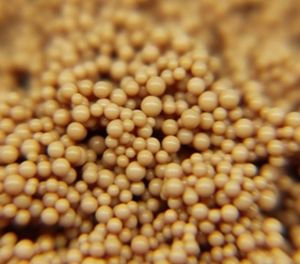 Adsorbant polymère à capture directe d'air (DAC) à haute efficacité pour l'élimination et la séquestration du <span class=keywords><strong>carbone</strong></span> - Product Image 4