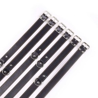 Ensemble BDSM de 6 Pièces de Haute Qualité : Ceinture de Contrainte Réglable, Cordon de Contrainte, Jouet Sexuel pour Flirt et Fétichisme