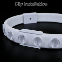 Tira de LED RGBW Flexible para Exteriores con Clasificación IP68, Resistente al Agua, para Pared, con Código DMX512 Programable, Cambio de Color, 5 Metros por Pieza