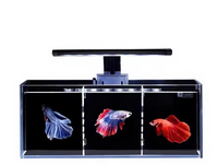 Aquarium moderne pour poissons Betta d'intérieur, verre ultra-blanc, plusieurs compartiments, filtre arrière, écologique, durable, sans changement d'eau