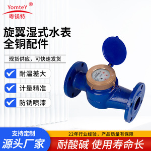Magnesium Multi Jet Water Meter Flanged Cast Iron Horizontal Wet Type For Home Use - Product Image 5