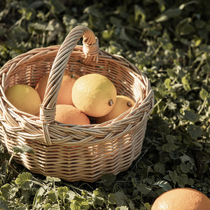 Mini panier rond en osier fait main pour la cueillette des fruits, pique-nique, style rustique - Product Image 4