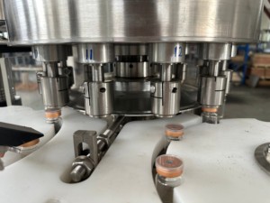 Machine de remplissage et de bouchage de bouteilles en verre pour <span class=keywords><strong>1000</strong></span> bouteilles par heure, avec <span class=keywords><strong>seringue</strong></span> en verre de 330 <span class=keywords><strong>ml</strong></span> pour poudre - Product Image 5