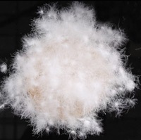 M&H Duvet de canard blanc lavé à 90 %, origine Anhui, norme nationale, matériau de rembourrage haute densité pour sacs de couchage et literie