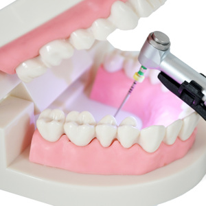 Chine Fournisseurs Dentaire <span class=keywords><strong>Endo</strong></span> Moteur Rotatif 16:1 Dentaire Moteur <span class=keywords><strong>Endo</strong></span> Avec Led Préparation Du Canal Radiculaire Équipement De Laboratoire Dentaire