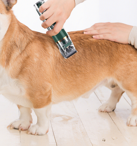 Kit de tondeuses à poils pour animaux de compagnie Petdom rechargeables à faible bruit, ensemble de tondeuses professionnelles pour chiens - Product Image 4