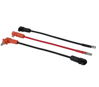 OEM Reines Kupfer PVC-Isoliertes Energiespeicher-Schrankverbindungskabel 35mm 250A IP65 2000V Motorrad-Solarsystem-Batteriegestell