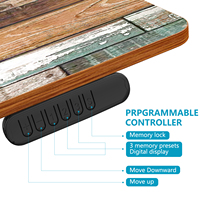 Ergonomik çift Motor elektrikli kaldırma hidrolik yükseklik ayarlanabilir oturmak standı ayaklı masa masa