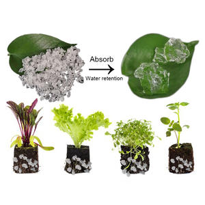 WELLDONE Hidrogel Agricola Agri Polymers 80 Mesh SAP polvere Fine agricoltura polimero <span class=keywords><strong>Super</strong></span> assorbente per pianta - Product Image 2