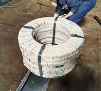 Bande d'acier à ressorts laminée à froid 50CrVA, norme AISI, lot de 1 tonne |   Acier à ressorts en alliage à haute élasticité pour machines