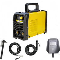 Machine à souder portable à onduleur MMA 400A, design léger et portatif pour la soudure domestique, tension 220V avec technologie IGBT