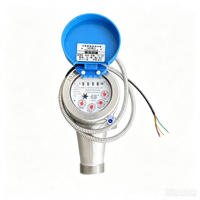 Stainless Steel DN25 Electronic Water Meter with RS485 Connectivity