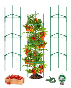 Soporte para Tomateras MQ Chino 2026, Gran Venta, para Fijar Ramas, Ventilación y Penetración de Luz - Product Image 1