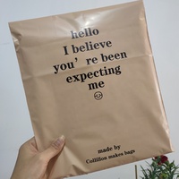 Sacs d'expédition personnalisés, sacs d'expédition en plastique biodégradable, sac de courrier en Poly pour l'emballage de vêtements et de t-shirts