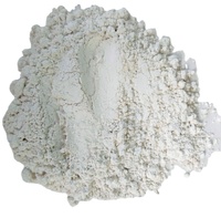 Kaolin de qualité cosmétique 325 Mesh, prix à la tonne, poudre d'argile blanche pour ciment blanc, savon, détergent à lessive