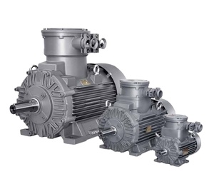 Motor de Inducción Trifásico Innomotics 1LE08 de Alta Eficiencia, 500kW, 50Hz, 2P 4P 6P 8P, Protección IP55 - Product Image 6