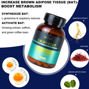 Suplementos supresores del apetito para adultos de alta calidad, cápsulas de plenitud para perder peso, soporte para el metabolismo, producto de belleza en stock - Product Image 3