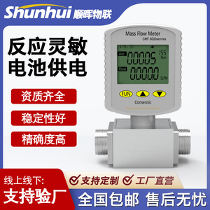 Medidor de Flujo de Masa de Gas Digital Miniatura con Cuerpo Metálico y Transmisión Remota 485 para Aire Comprimido, Nitrógeno y Oxígeno - Product Image 5