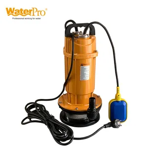 WATERPRO 2HP Qdx Series Electric Submersible Pump with Float Switch Bombas bombas sumergibles