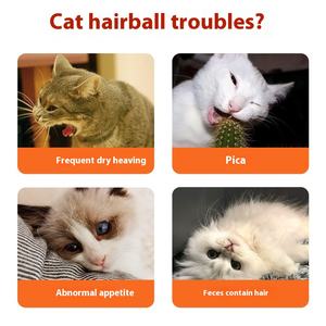 120g di olio di pesce di mare profondo <span class=keywords><strong>pasta</strong></span> di peli integratore nutrizionale Anti-spargimento <span class=keywords><strong>per</strong></span> cani e <span class=keywords><strong>gatti</strong></span> miglioramento della salute degli animali domestici - Product Image 3