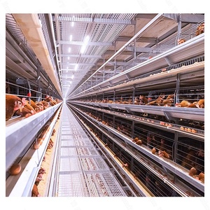 Hot bán mới tự động một loại gà lớp lồng hệ thống chi phí thấp Nylon + sợi thủy tinh dài dịch vụ cuộc sống - Product Image 1