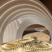 Prix ​​de gros IP20 Éclairage intérieur 12V 24V Flexible 2835 SMD Bande lumineuse blanche Couleur unique Mode continu Ruban LED