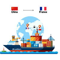 Service de Livraison Porte-à-Porte Amazon FBA, Transitaire FBA Agent Maritime Chine vers la France