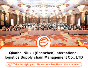 Logística internacional de carga aérea puerta a EE. UU. Agente de envío en Shenzhen China tan rápido como 10 días - Product Image 3