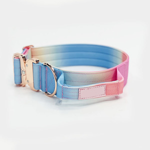 Collar y Correa de Entrenamiento de Lujo Personalizados para Perros, con Acolchado Suave para Gatos y Perros, Diseño Táctico para Dueños de Mascotas Activos - Product Image 4