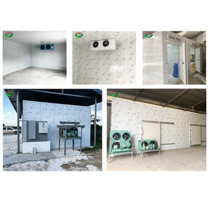 <span class=keywords><strong>C</strong></span>ámara Frigorífica Móvil, Almacenamiento en Frío, Panel Sándwich de 120 mm para la Industria de <span class=keywords><strong>C</strong></span>ámaras de Congelación Rápida - Product Image 2