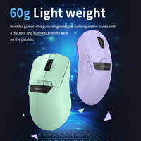Souris de jeu personnalisée LED RGB OEM gratuite Accessoires informatiques Souris de jeu légère 500mAh 2.4G BT Souris rechargeable sans fil