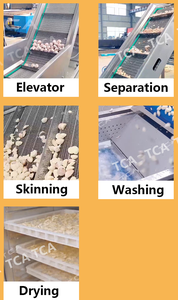 Dây chuyền sản xuất tỏi hoàn toàn tự động công nghiệp bao gồm làm sạch tỏi, nghiền và lột - Product Image 6